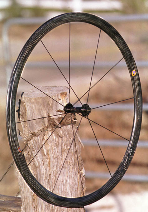 Nimble FLY on Texas fence post