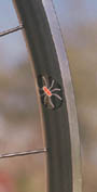 Spider aero style rim -- Click to enlarge